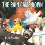 The Rain Came Down, David Shannon