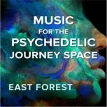 Music for the Psychedelic Journey Spa..., East Forest