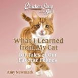 Chicken Soup for the Soul What I Lea..., Amy Newmark