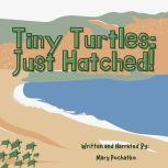 Tiny Turtles: Just Hatched!, Mary Pochatko