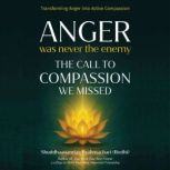 Anger Was Never The Enemy, Bodhi Shuddhaanandaa Brahmachari