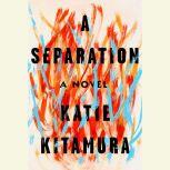 A Separation, Katie Kitamura