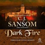 Dark Fire, C.J. Sansom