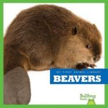 Beavers, Mari Schuh