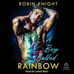 A Boy Called Rainbow, Robin Knight