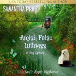 Amish False Witness, Samantha Price