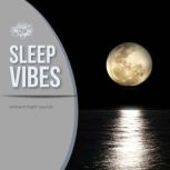 Sleep Vibes, Ambient Night Sounds