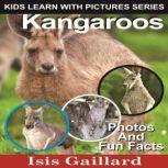 Kangaroos Photos and Fun Facts for Kids, Isis Gaillard