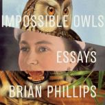 Impossible Owls, Brian Phillips