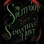 Mr. Splitfoot, Samantha Hunt