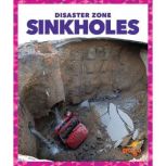 Sinkholes, Vanessa Black