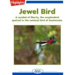 Jewel Bird, Robin A. Zimmerman