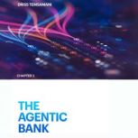 The Agentic Bank, Driss Temsamani