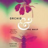 Orchid and the Wasp, Caoilinn Hughes