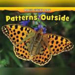 Patterns Outside, Daniel Nunn