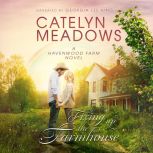 Fixing Up the Farmhouse, Catelyn Meadows