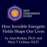 How Invisible Energetic Fields Shape ..., Alan Briskin, Ph.D.