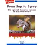 From Sap to Syrup, Laura Sassi