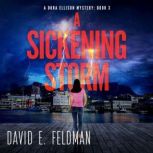 A Sickening Storm, David E. Feldman