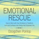 Emotional Rescue, Dzogchen Ponlop