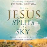 When Jesus Splits the Sky, Patricia Bootsma