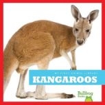 Kangaroos, Mari Schuh
