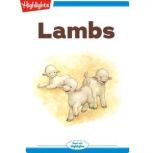 Lambs, Charles Ghigna
