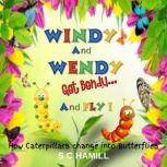 Windy And Wendy Get Bendy And Fly!, S C Hamill