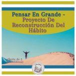 Pensar En Grande  Proyecto De Recons..., LIBROTEKA