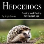 Hedgehogs, Angie Tracks