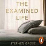 The Examined Life, Stephen Grosz