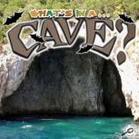 Whats In A Cave?, Tracy N. Maurer
