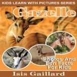 Gazelle Photos and Fun Facts for Kids, Isis Gaillard