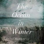 The Ocean in Winter, Elizabeth de Veer