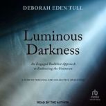 Luminous Darkness, Deborah Eden Tull