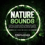 Nature Sounds 8 Hours of Calming Nat..., Pure Frequency Labs