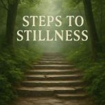 Steps to Stillness Book summary an..., Skye Emerson