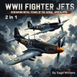 WWII Fighter Jets, Sage Winters