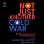 Not Just Another Cold War, Bard Nikolas Vik Steen