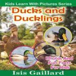 Ducks and Ducklings Photos and Fun Facts for Kids, Isis Gaillard