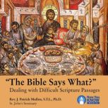 The Bible Says What?, Patrick J. Mullen