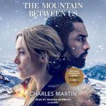 The Mountain Between Us, Charles Martin