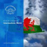 Intermediate Welsh, Centre of Excellence