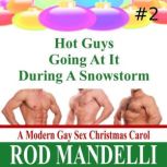 Hot Guys Going At It During A Snowsto..., Rod Mandelli