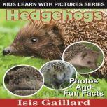 Hedgehogs Photos and Fun Facts for Kids, Isis Gaillard