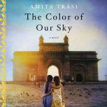 The Color of Our Sky, Amita Trasi