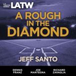 A Rough in the Diamond, Jeff Santo