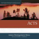 Acts An Expositional Commentary, James Montgomery Boice