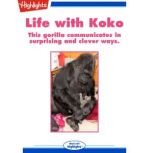 Life with Koko, Andy Boyles