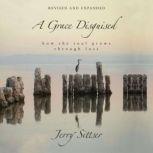 A Grace Disguised Revised and Expanded How the Soul Grows through Loss, Jerry L. Sittser